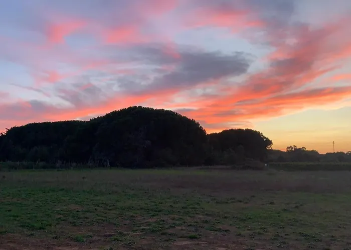 ゲストハウス Graziosa