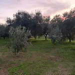 Graziosa 3* Albinia