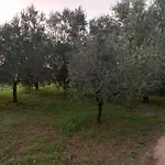 Guest house Graziosa