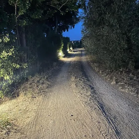 Graziosa