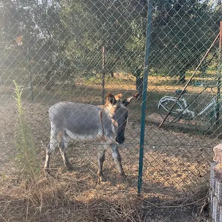 Graziosa Гостевой дом 3*