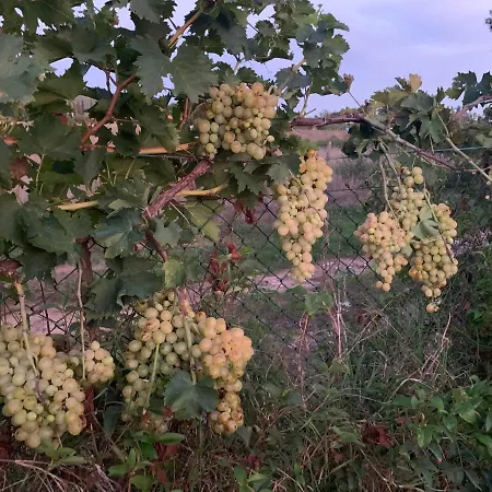 Vendégház Graziosa 3*