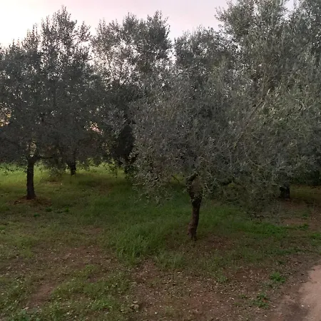 Guest house Graziosa