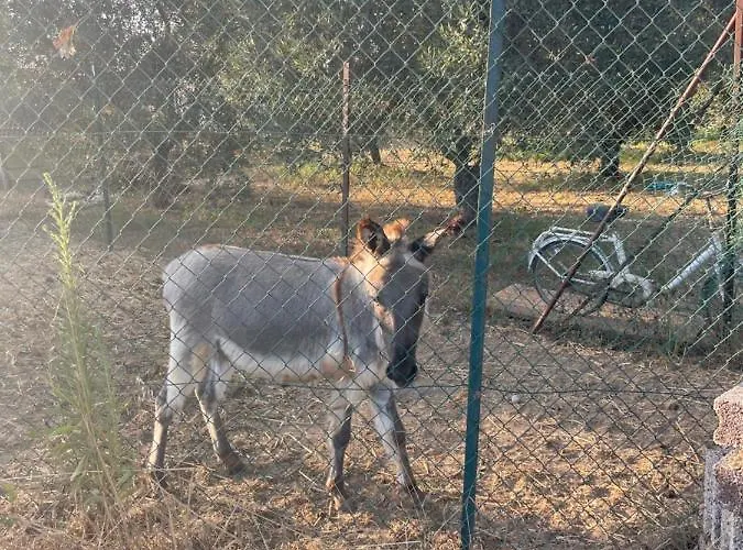 Graziosa Vendégház 3*