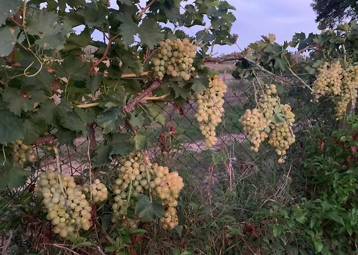 Vendégház Graziosa 3*