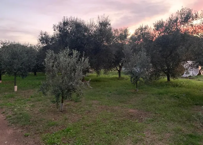 Graziosa 3* Albinia