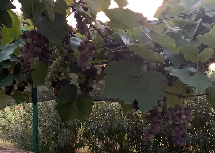 Graziosa Vendégház Albinia